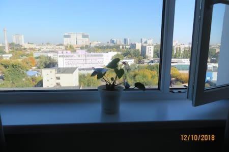 Smart-House Smart Kvartira S Kukhnei Vozle Metro. 基輔 外观 照片